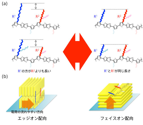 図2　ポリマーの側鎖（R1とR2）に導入したアルキル基の組み合わせ（a）とポリマーの配向（b）の関係