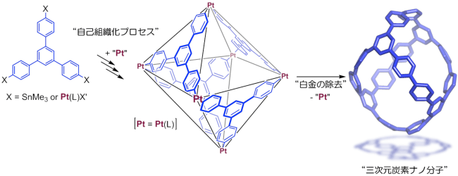 図2　「ボール状」の新しい三次元炭素ナノ分子の合成