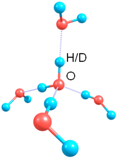 図1　水分子とその水素結合