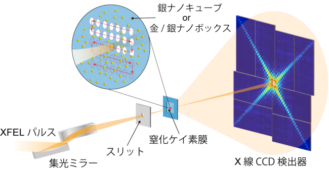 図1　X線自由電子レーザーパルスによる金属ナノ粒子のコヒーレントX線回折実験の概念図