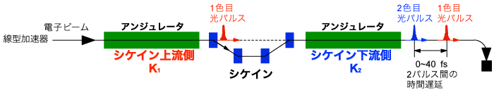 図2　SACLA 2色XFELの概念図