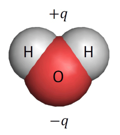 図1　水分子H2Oの模式図。