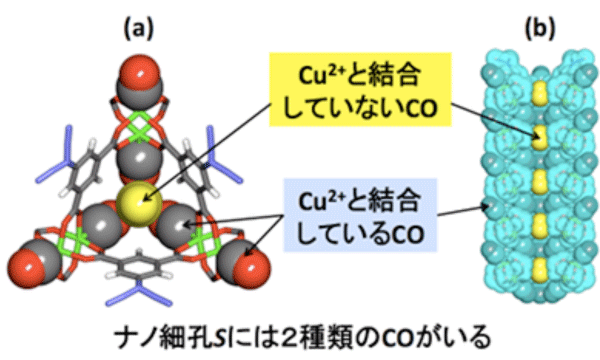 図4．ナノ細孔S に取り込まれた2種類のCO の様子