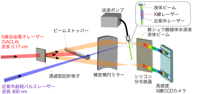 図1：フェムト秒領域の時間分解能を達成したX線直接吸収分光装置の概略図