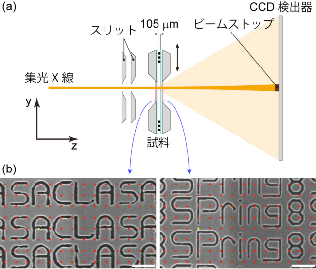 図1（a）X線タイコグラフィーの光学系の模式図。（b）試料の電子顕微鏡画像。