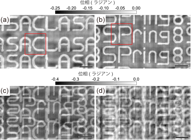 図2　試料の再構成像。（a,b）マルチスライスアプローチによって再構成された（a）1層目と（b）2層目の位相像。（c）（a）と（b）の像を重ねることによって導出した投影像。（d）従来法によって再構成された投影像。