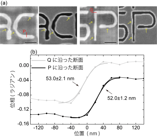 図3　（a）（左）図2の中で赤色の四角で囲った領域の再構成像の拡大図と（右）同じ領域での電子顕微鏡画像。（b） （a）で赤色の線で示した位置での断面プロファイル。