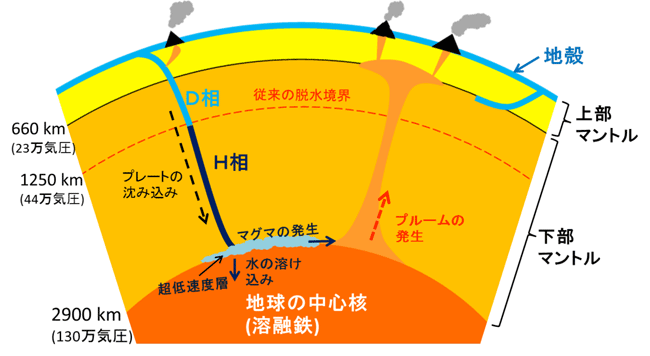 図4.地球内部構造と今回の研究から示唆される地球深部への水の輸送。