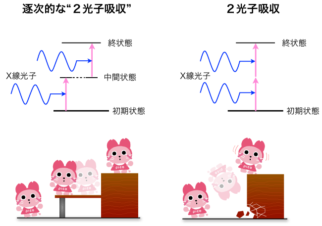 図１ 逐次的な2光子吸収と本実験の2光子吸収