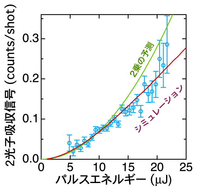 図2　2光子吸収のX線強度依存性