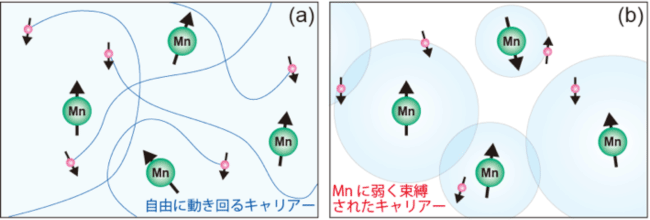 図2 Ga1-xMnxAsで提唱されている強磁性発現モデル。