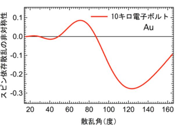 図2　10キロ電子ボルトのエネルギーをもつ電子がAuの原子核によって散乱される場合のスピン依存散乱（モット散乱）の非対称性の散乱角依存性（一回散乱のみを考慮した理論計算。