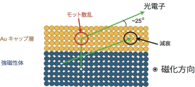 図3　実験の原理の概略図。