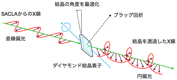 図1ダイヤモンド結晶による偏光状態変換の模式図