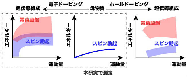 図3　銅酸化物超伝導体におけるスピン・電荷励起の概略図