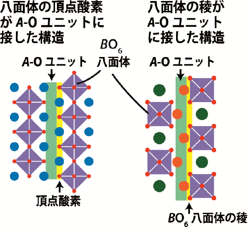 図６：従来のペロブスカイト関連構造における、頂点酸素がA-Oユニットに面しているという特徴