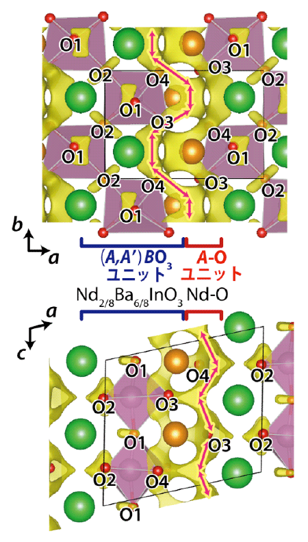 図７：1000 oC、NdBaInO4における酸化物イオンの拡散経路 (図の⇔).