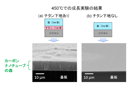 図6：SPring-8でのカーボンナノチューブの“森”の成長実験の結果。