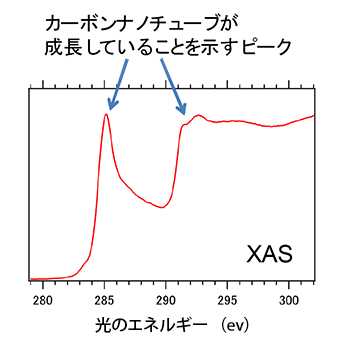 図7：カーボンナノチューブの“森”（図6(a)）のXAS分析の結果。