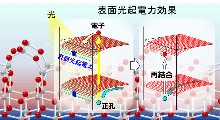 図2　表面光起電力（SPV）効果の模式図。