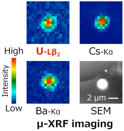 図１．micro-XRF imaging