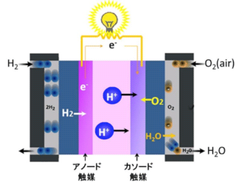 図１．固体高分子形燃料電池の原理