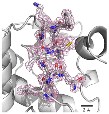 図2　SFXにより決定したリゾチームのタンパク質結晶構造