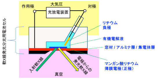 図2　電池セルの模式図