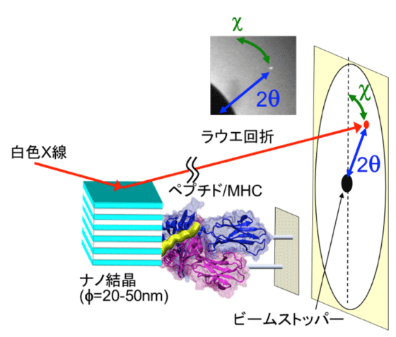 図2