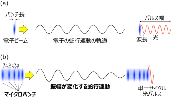 図1 波長よりバンチ長が短い電子ビームからの光の放射と、マイクロバンチがある規則に従って並んだ電子ビームからの光の放射の比較