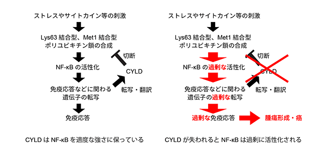 図2