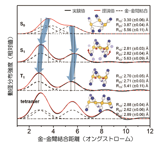 図2　光化学反応の進行に伴う分子構造変化を示す測定データ