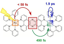 光を吸収してルテニウムからコバルトへ電子が移動するプロセスと時間