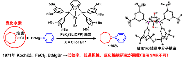 図１ 中村鉄クロスカップリング反応とFeCl2(SciOPP) 1 触媒の結晶中分子構造