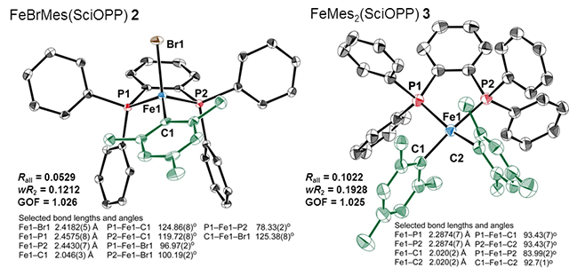 図3 単結晶X線構造解析によって決定した触媒中間体FeBrMes(SciOPP) 2およびFeMes2(SciOPP) 3の分子構造