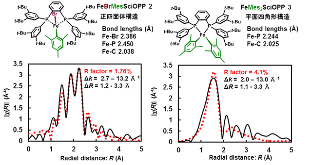 図４．触媒中間体FeBrMes(SciOPP) 2およびFeMes2(SciOPP) 3のTHF溶液のEXAFSスペクトルとX線原子座標を使ったフィッティングシミュレーションの結果