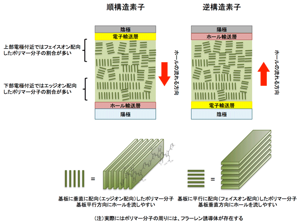 図2 PNTz4Tを発電層として用いたOPV素子の模式図