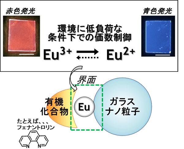 図1　Eu錯体-ガラスナノ粒子の模式図と発光の写真（写真中のバーは1 cm）