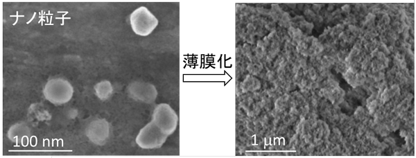 図2　Eu錯体-ガラスナノ粒子の電子顕微鏡写真（左：ナノ粒子、右：薄膜表面）
