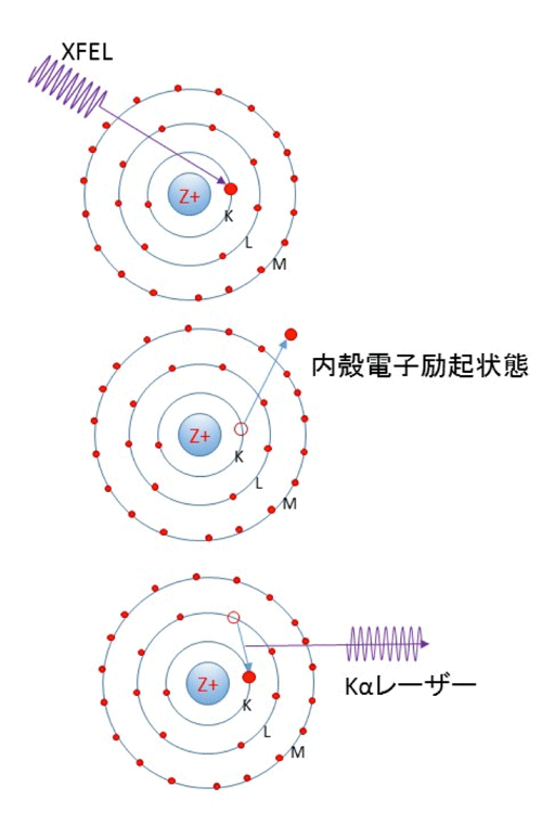 図２　原子準位レーザーの原理