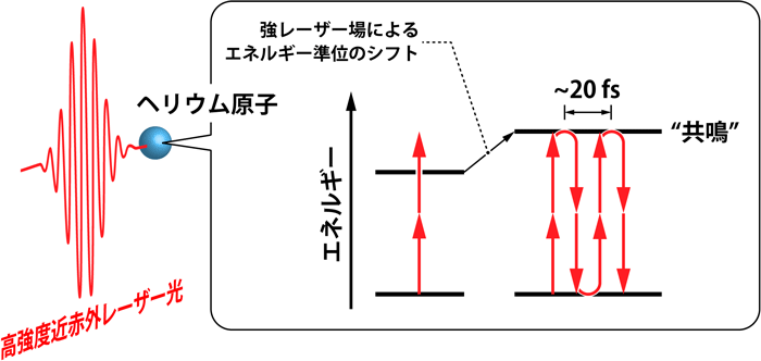 図２：強レーザー場共鳴と２光子ラビ振動の概念図