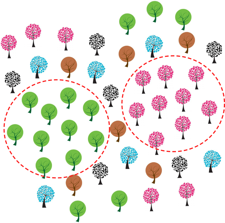 図５．アモルファスSiOの構造は多くの種類の木が生えている森に例えることができる。