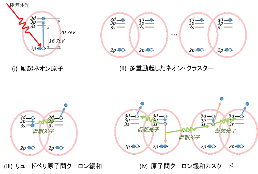  図1. （i）1光子吸収によるネオン原子の電子励起と、（ii）多原子励起したネオン・クラスターの模式図。