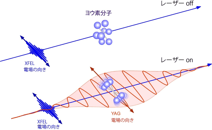図1　YAGレーザー電場による分子配列制御