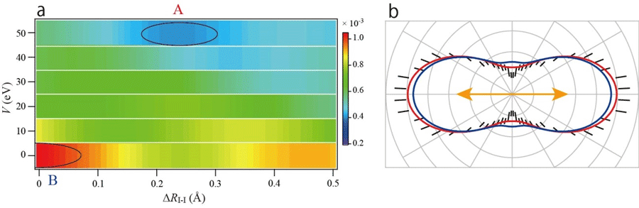 図3　光電子回折像の実験と理論の比較およびその角度分布