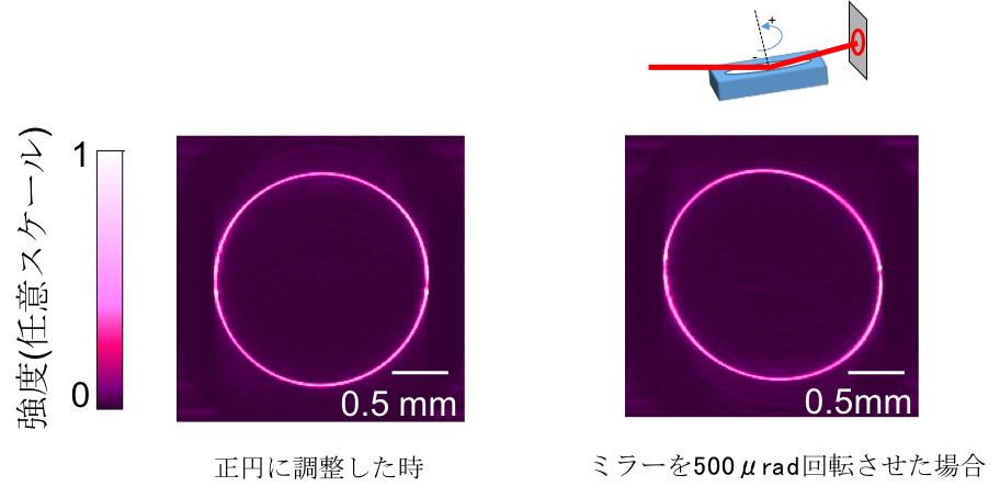 図3　リング状に集光されたＸ線ビームの強度分布