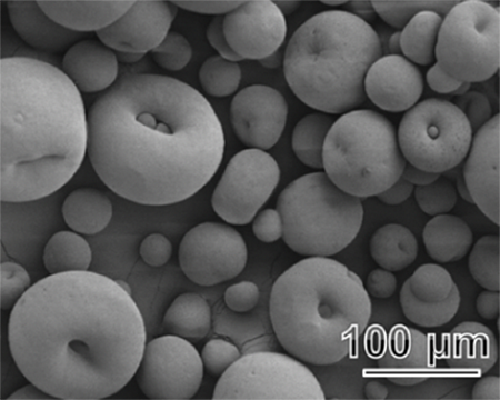 図3 アルミナの顆粒の電子顕微鏡像