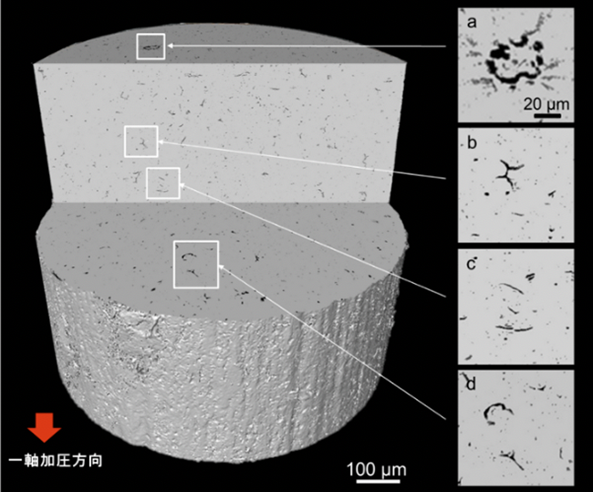 図5 アルミナ円柱試料断面のマイクロCT像