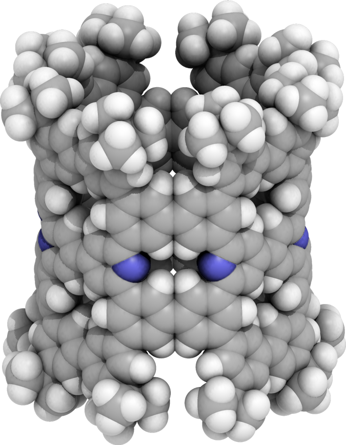 図１．窒素ドープ型ナノチューブ分子の分子構造