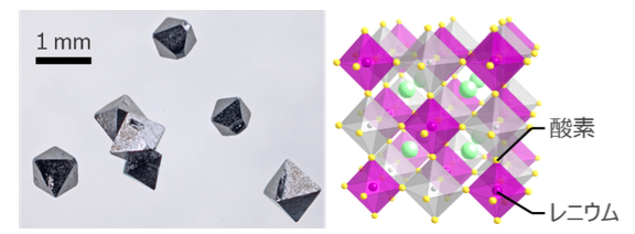 図１.研究に用いたレニウムを含む化合物Ba2MgReO6の純良な結晶の写真（左）と結晶の構造（右）。
